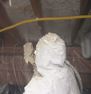 Cleveland OH crawl space insulation